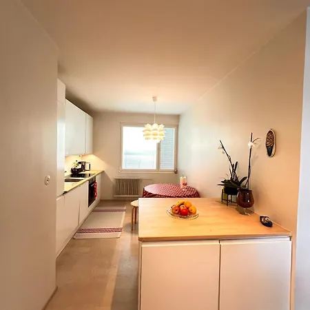 Central Apartment * 투르쿠